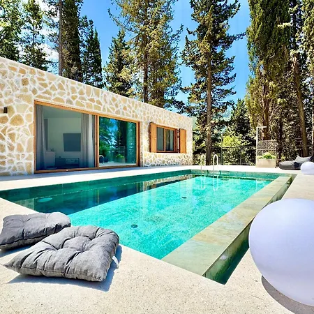 Domenico Morani Luxury Concept With Private Pool By Dadovillas