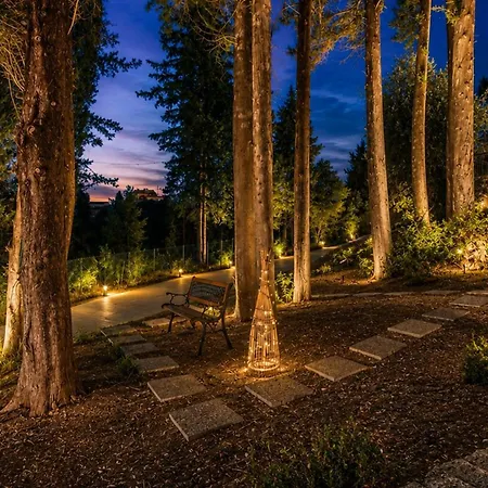 Domenico Morani Luxury Concept With Private Pool By Dadovillas